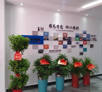 企業快訊|英倍迪電子開業儀式在長沙億達小鎮舉行