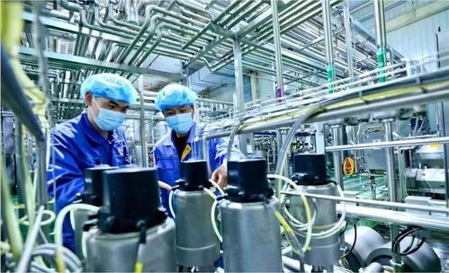 蘭州新區(qū)國慶假期生產(chǎn)不打烊，全力趕制訂單保障西安網(wǎng)絡需求